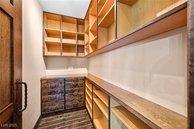 spacious closet featuring dark wood-style flooring