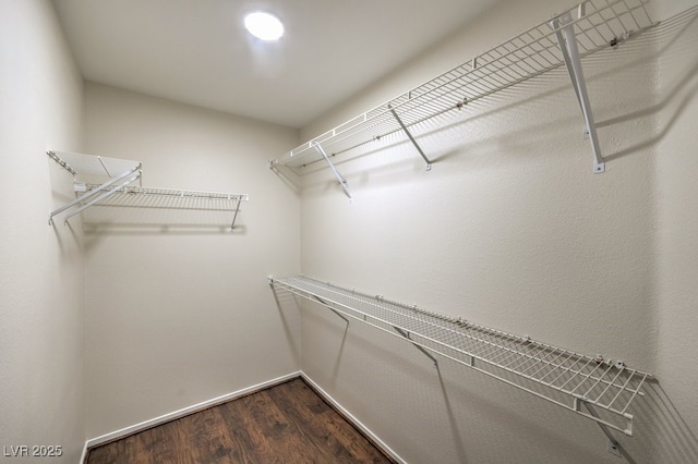 walk in closet featuring dark wood finished floors