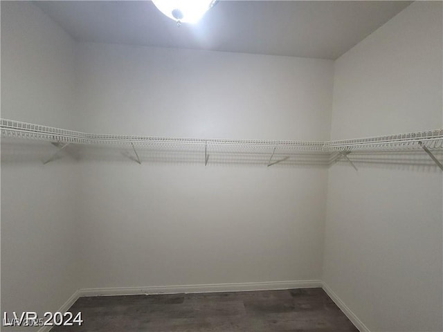 walk in closet with dark wood-type flooring