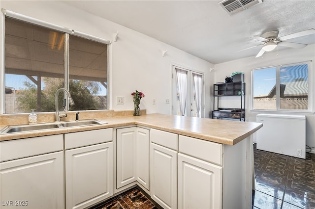 kitchen with visible vents, a healthy amount of sunlight, white cabinets, and a sink