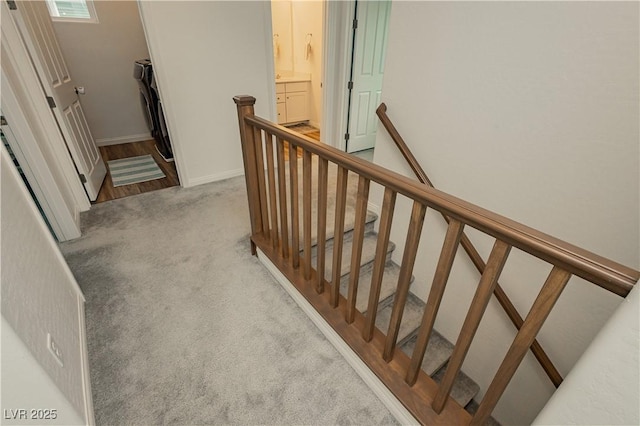 staircase with carpet flooring