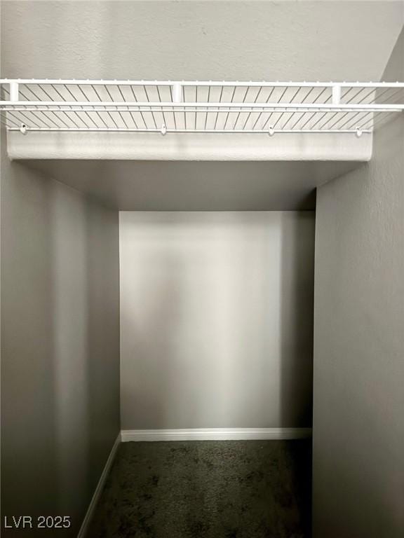 spacious closet featuring carpet flooring