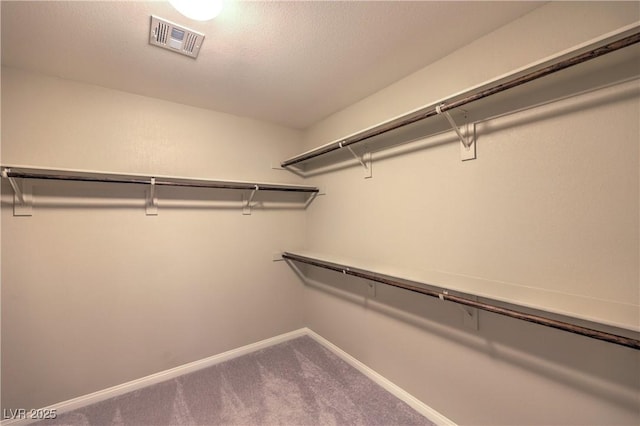 walk in closet with carpet flooring and visible vents
