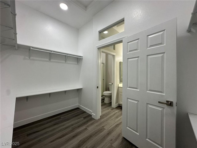 walk in closet with dark wood finished floors