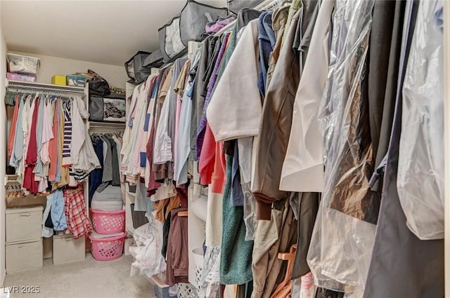 walk in closet featuring carpet floors