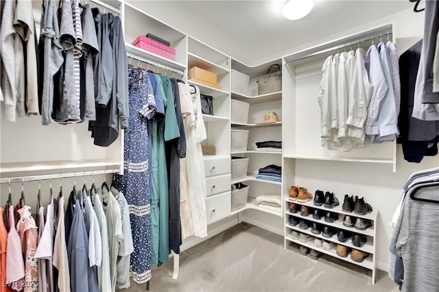 walk in closet featuring light colored carpet