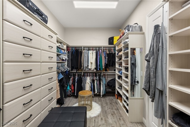 walk in closet featuring wood finished floors