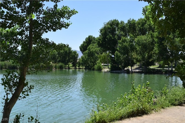 view of water feature