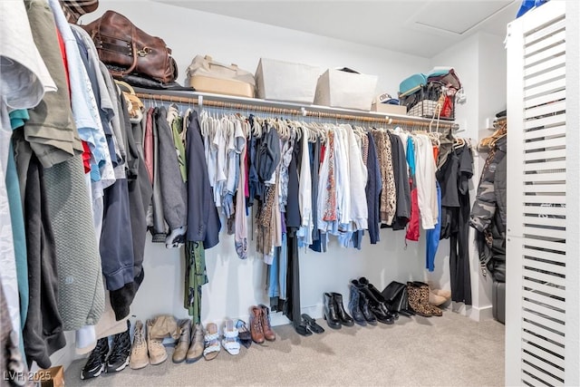 walk in closet with attic access and carpet flooring