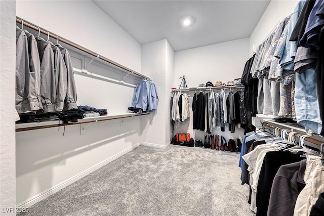 spacious closet with carpet flooring