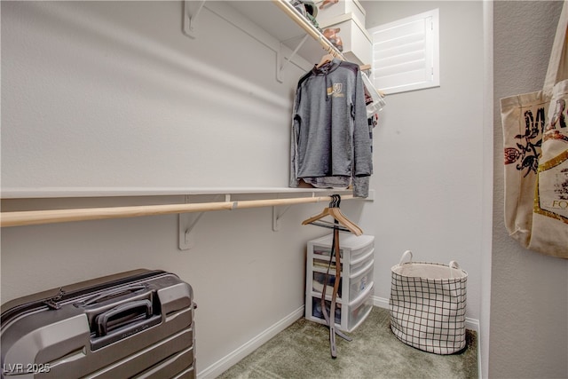 spacious closet featuring carpet