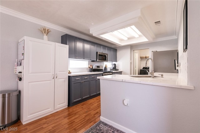 kitchen featuring appliances with stainless steel finishes, gray cabinets, light countertops, and a sink