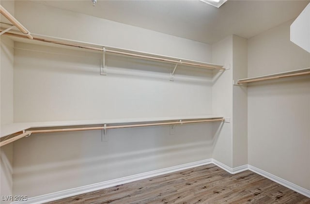 spacious closet featuring wood finished floors