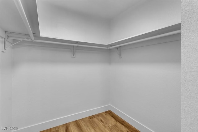 spacious closet featuring wood finished floors