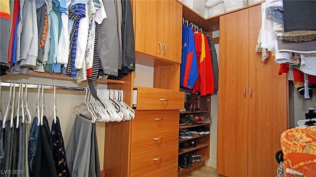 view of spacious closet