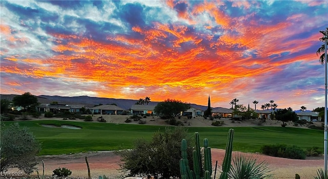 view of home's community featuring a lawn, a residential view, and golf course view