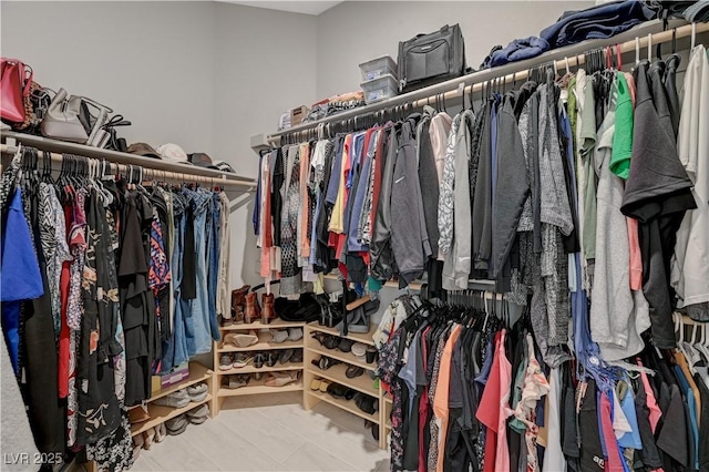 view of spacious closet