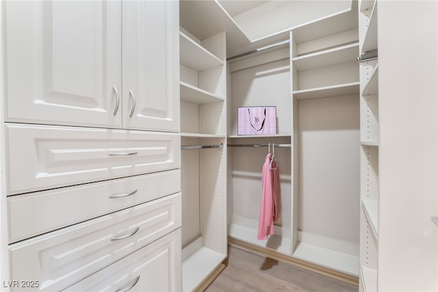 walk in closet with light wood finished floors