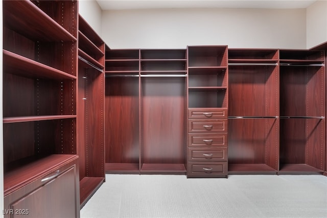 spacious closet featuring light colored carpet