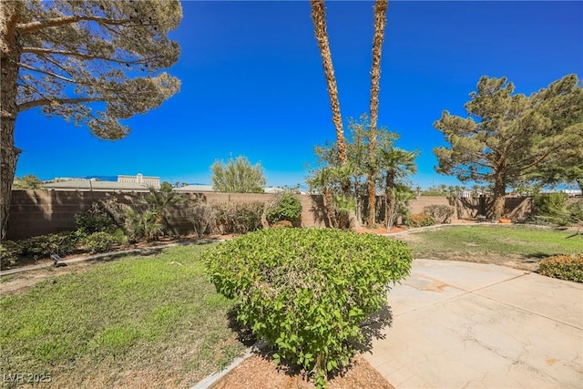 view of yard featuring a fenced backyard