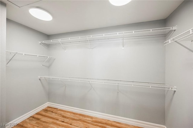 walk in closet featuring wood finished floors