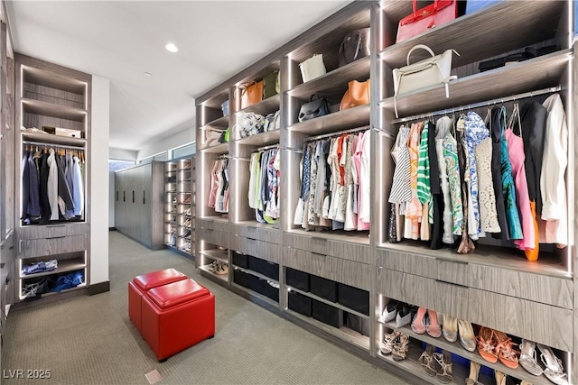 spacious closet with carpet