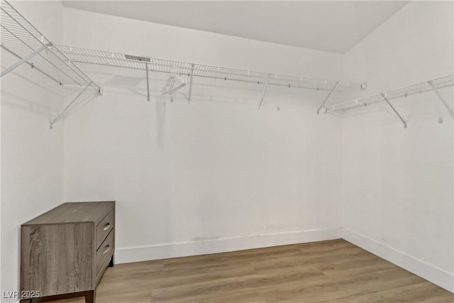 walk in closet featuring light wood-style floors