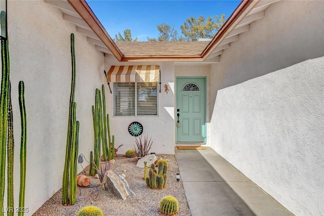 doorway to property with a shingled roof and stucco siding