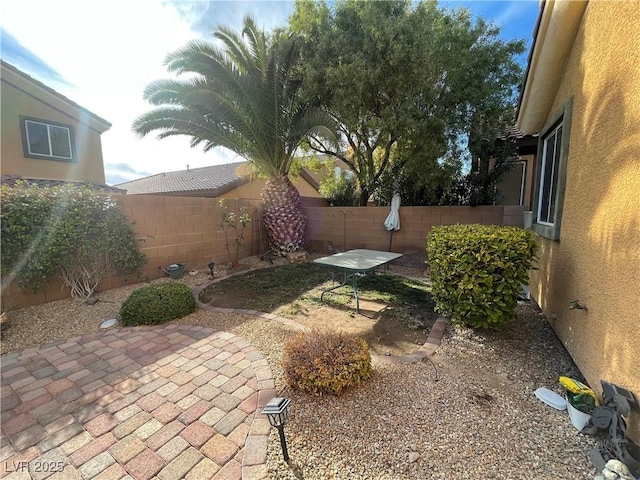 view of yard featuring a patio area and a fenced backyard