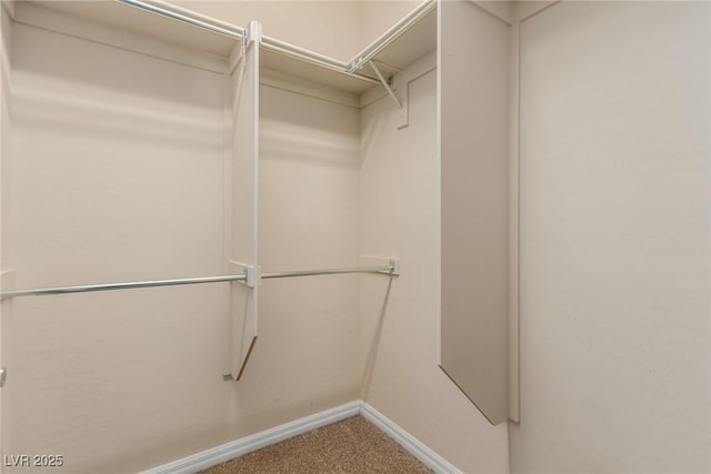 spacious closet with carpet floors