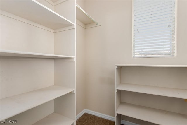 walk in closet with carpet flooring