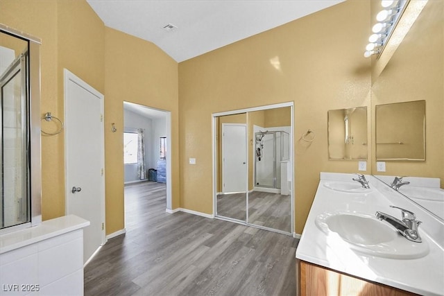 full bathroom featuring wood finished floors, a sink, and double vanity