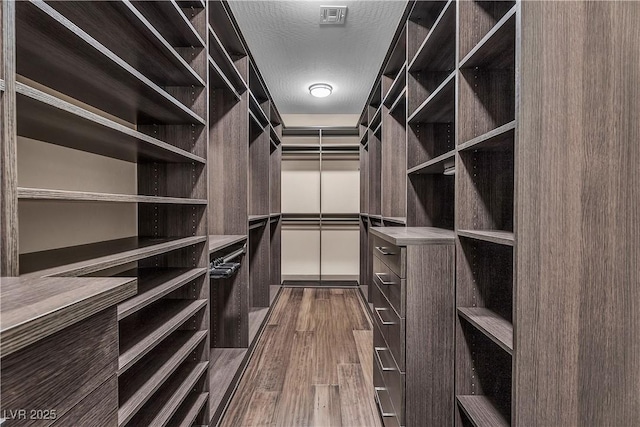 spacious closet featuring visible vents and dark wood-type flooring