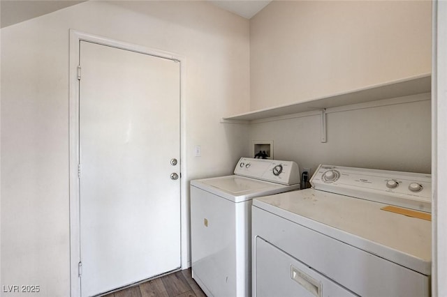 clothes washing area featuring laundry area, washer and clothes dryer, and dark wood finished floors