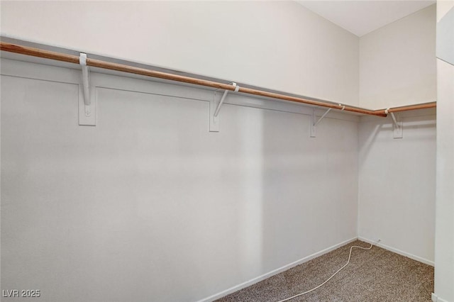 spacious closet with carpet floors