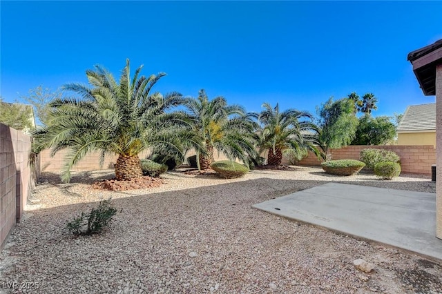 view of yard with a patio area and a fenced backyard