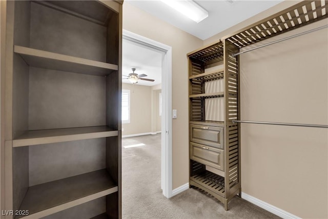 spacious closet with a ceiling fan and carpet