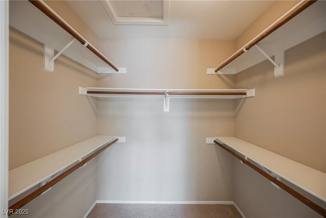 walk in closet with carpet