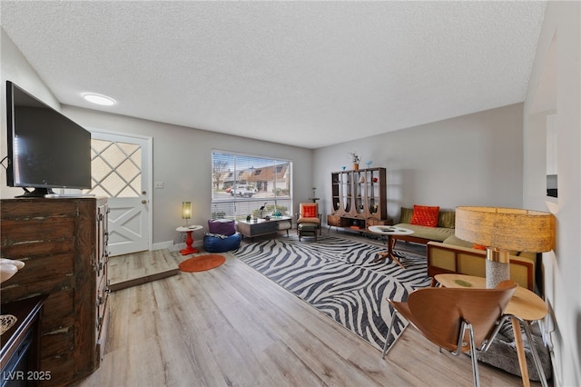 living area featuring wood finished floors, baseboards, and a textured ceiling