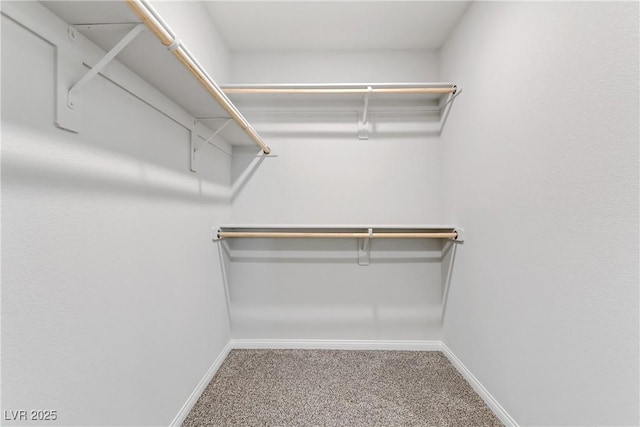 walk in closet featuring carpet floors