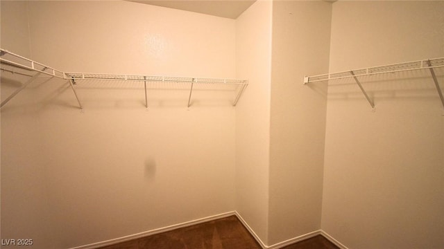 view of walk in closet