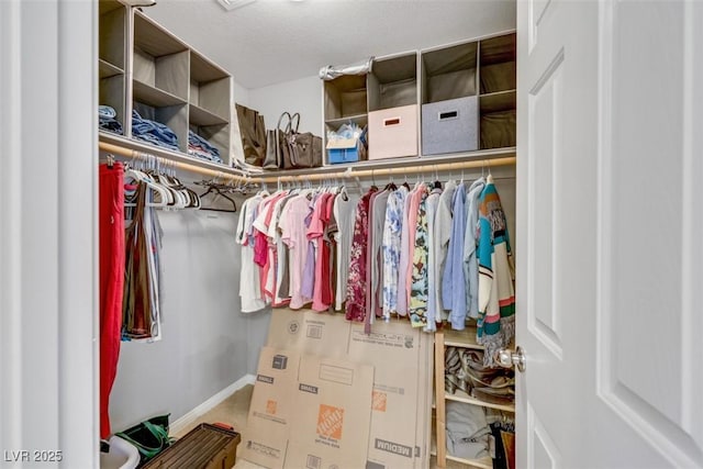 view of spacious closet