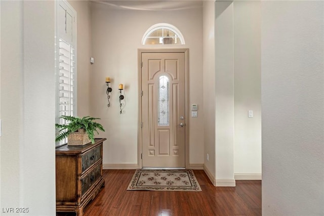 foyer entrance with baseboards and wood finished floors