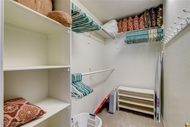 walk in closet with light colored carpet