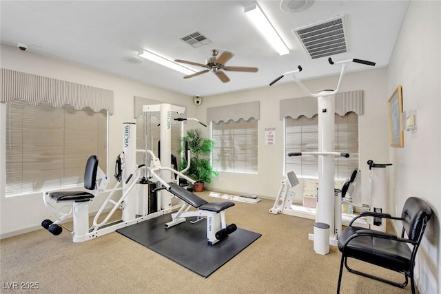 workout area featuring carpet flooring, visible vents, ceiling fan, and baseboards