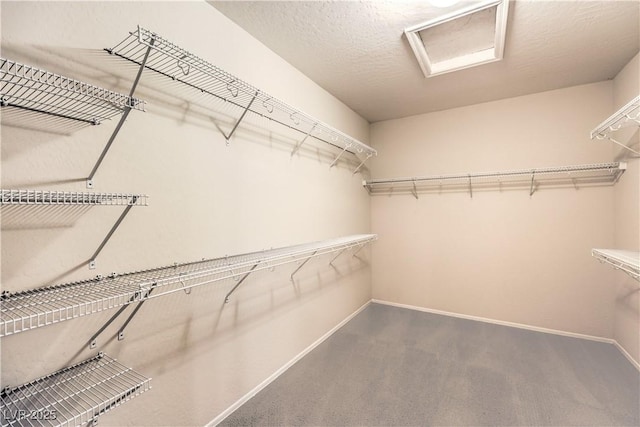 walk in closet featuring attic access and carpet floors