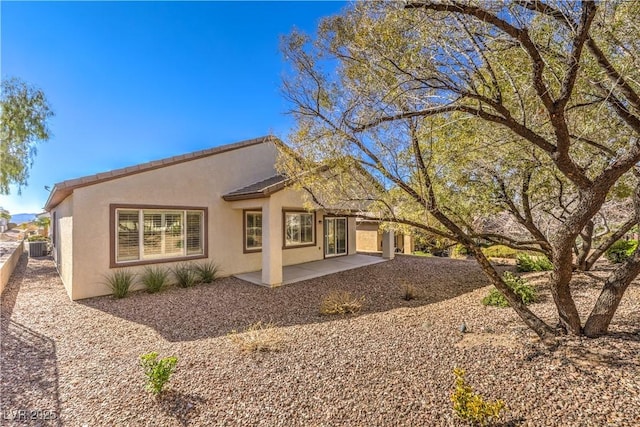 rear view of house featuring a patio area, fence, and stucco siding