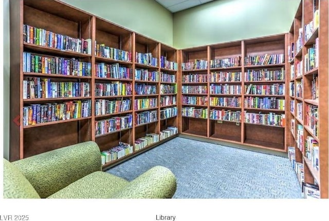 living area featuring carpet floors and bookshelves