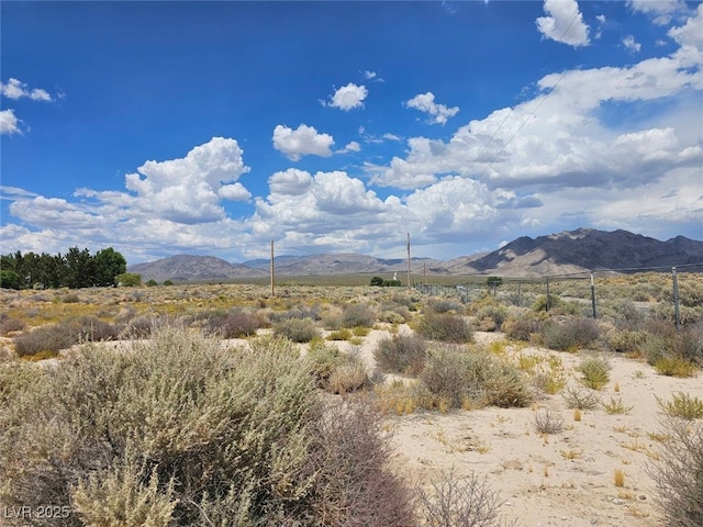 651 S Kingston Rd, Sandy Valley NV, 89019 land for sale