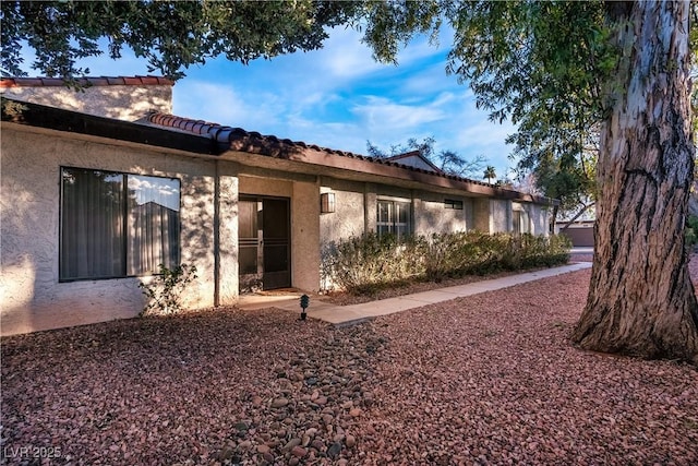 rear view of house featuring stucco siding